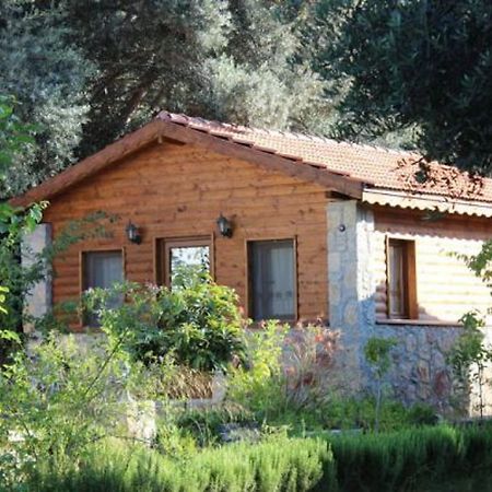 Datca Masal Gibi Bagian luar foto