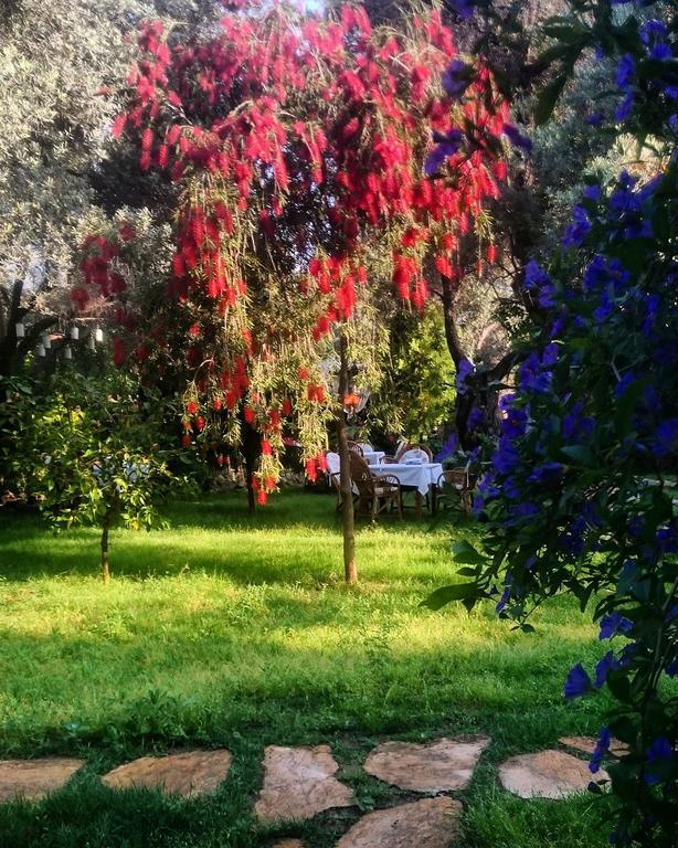 Datca Masal Gibi Bagian luar foto