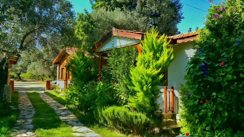 Datca Masal Gibi Bagian luar foto