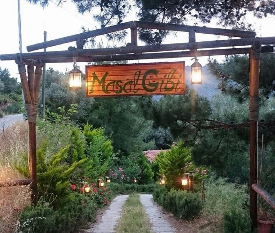 Datca Masal Gibi Bagian luar foto