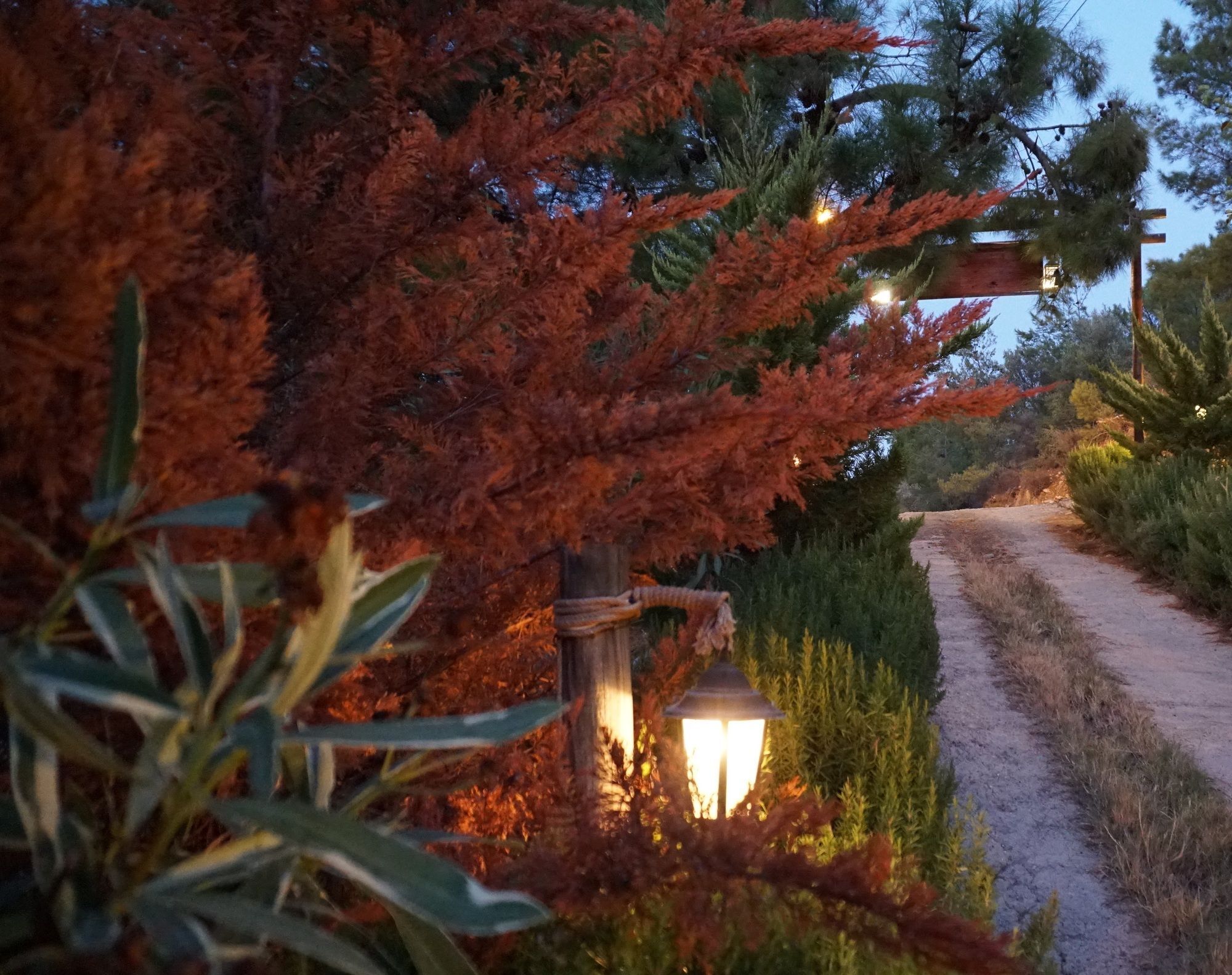 Datca Masal Gibi Bagian luar foto