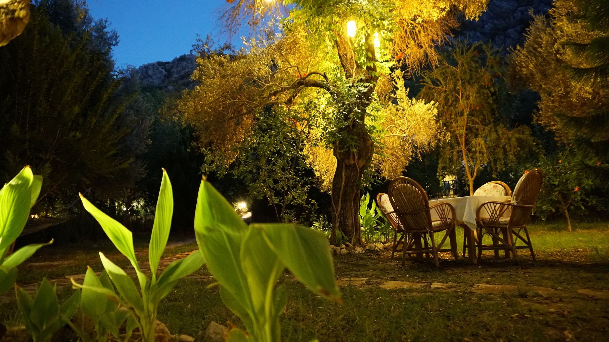 Datca Masal Gibi Bagian luar foto