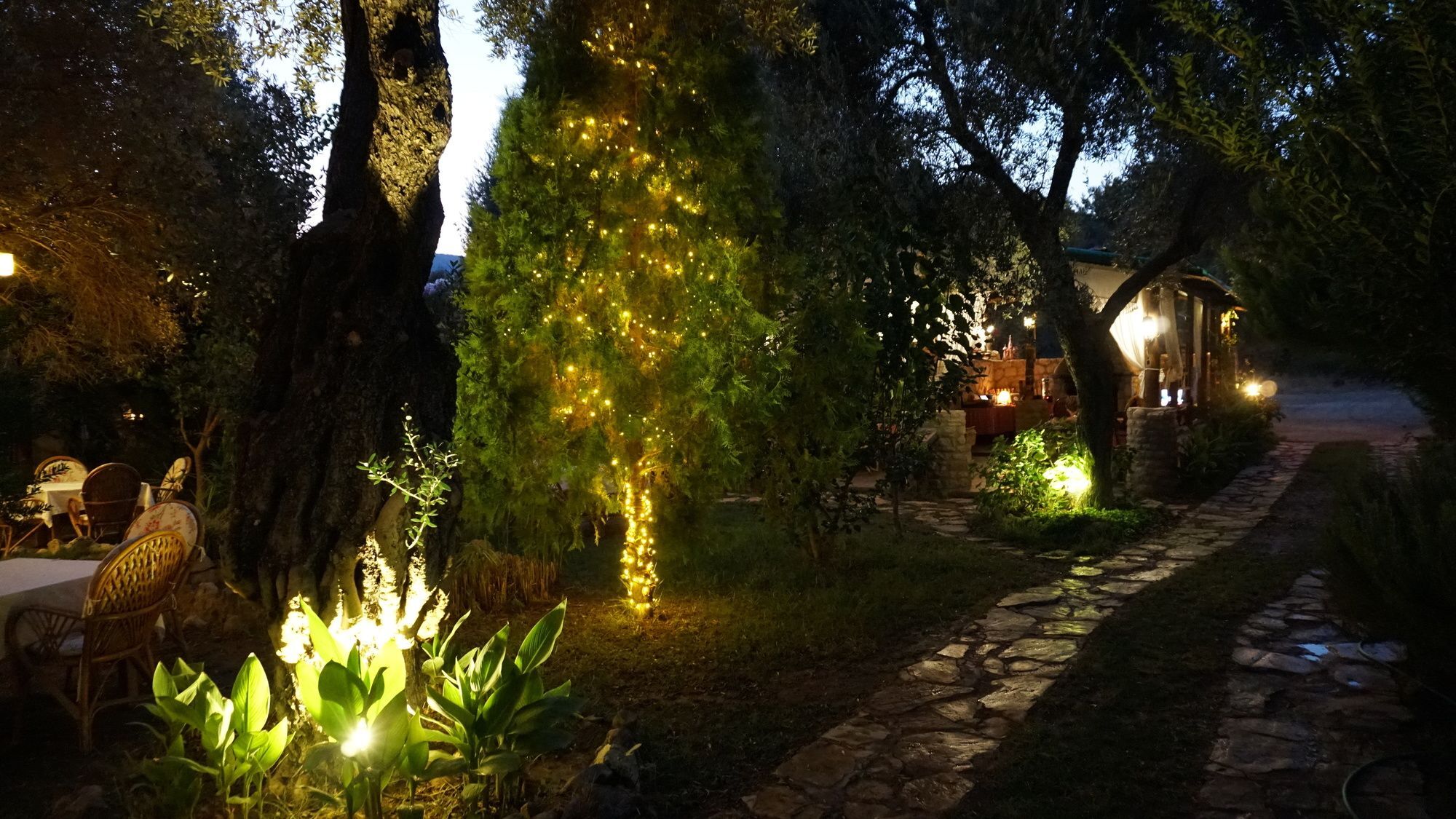 Datca Masal Gibi Bagian luar foto