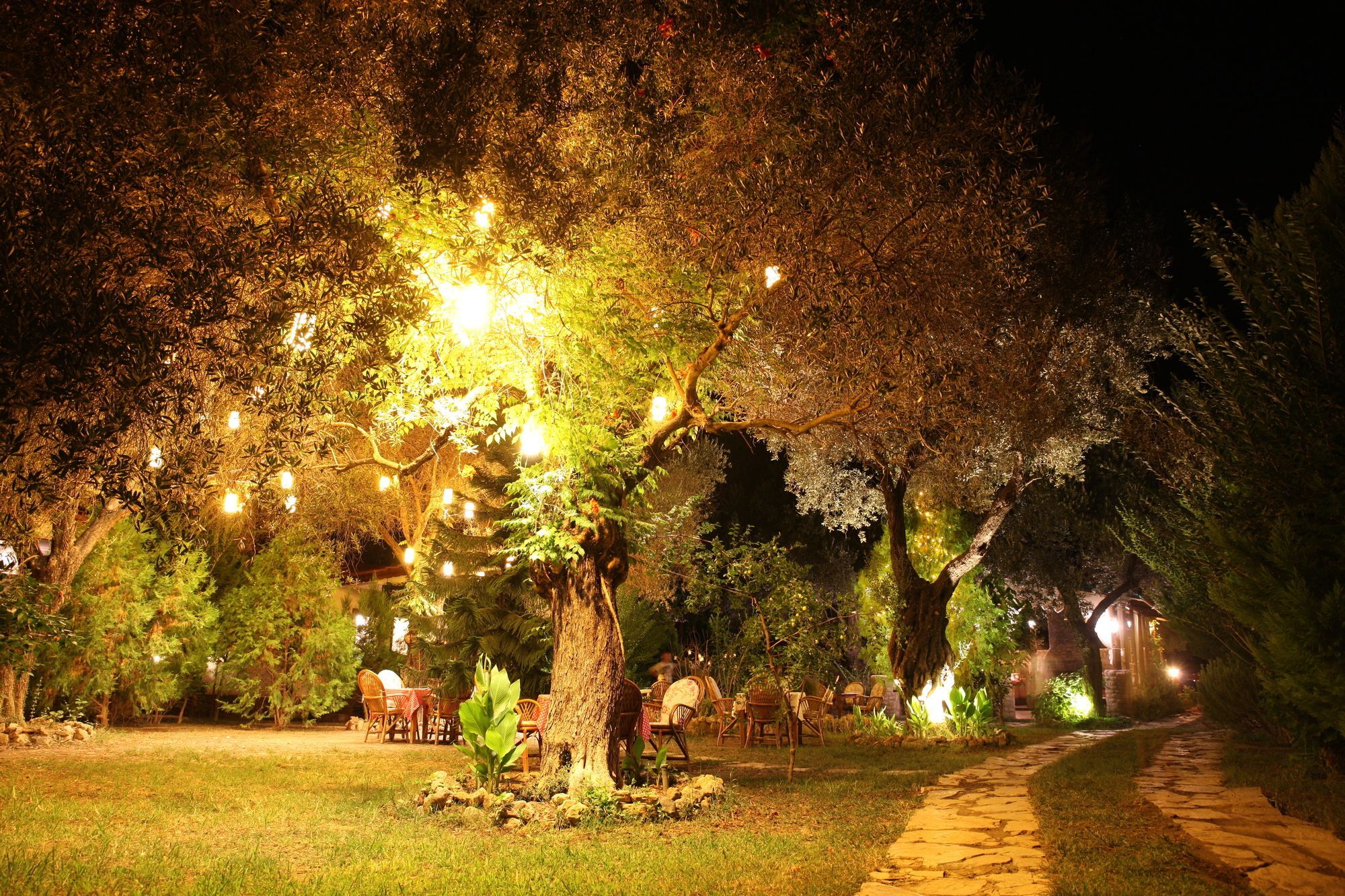 Datca Masal Gibi Bagian luar foto